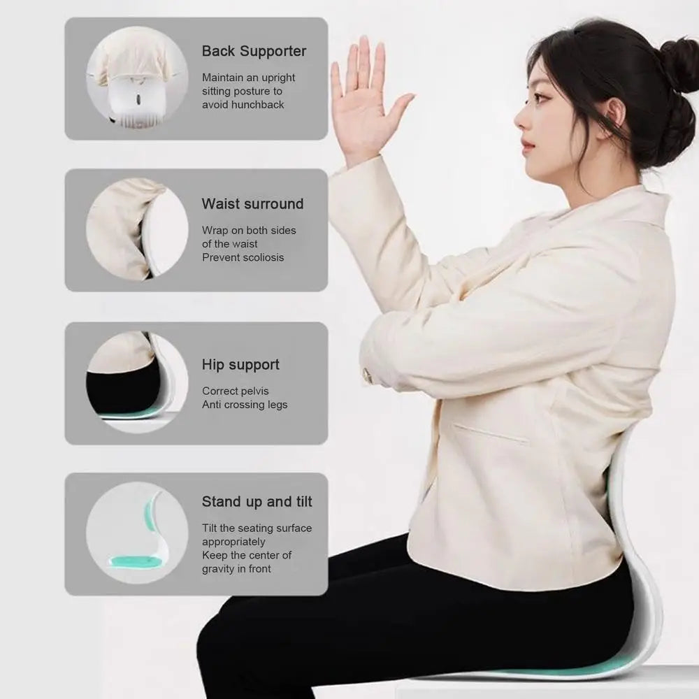 Posture Corrector for Chair Relief Back Cushion Offices Chair Lumbar Support Professional Washable Ergonomic Back Support Pillow