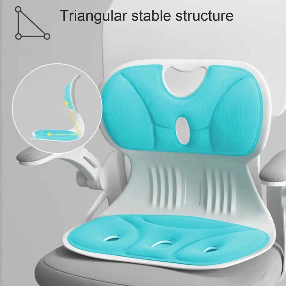 Posture Corrector for Chair Relief Back Cushion Offices Chair Lumbar Support Professional Washable Ergonomic Back Support Pillow